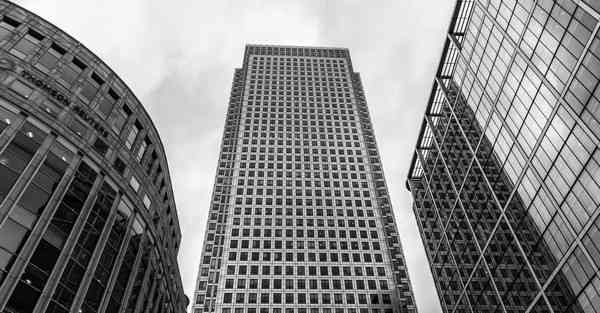 蒲公英vnp可以上ins